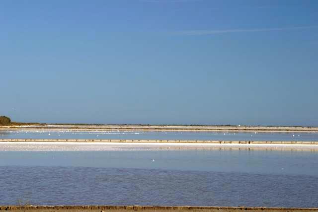 Camargue