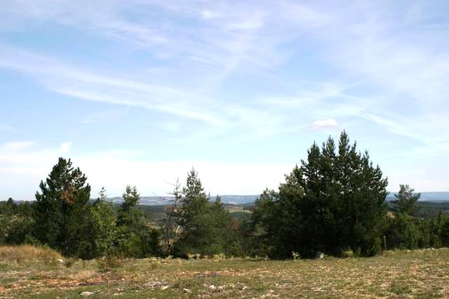 Gorges du Tarn