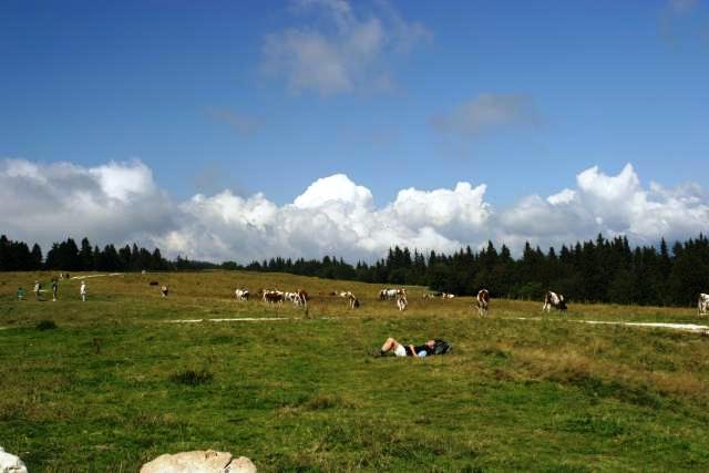 Vercors